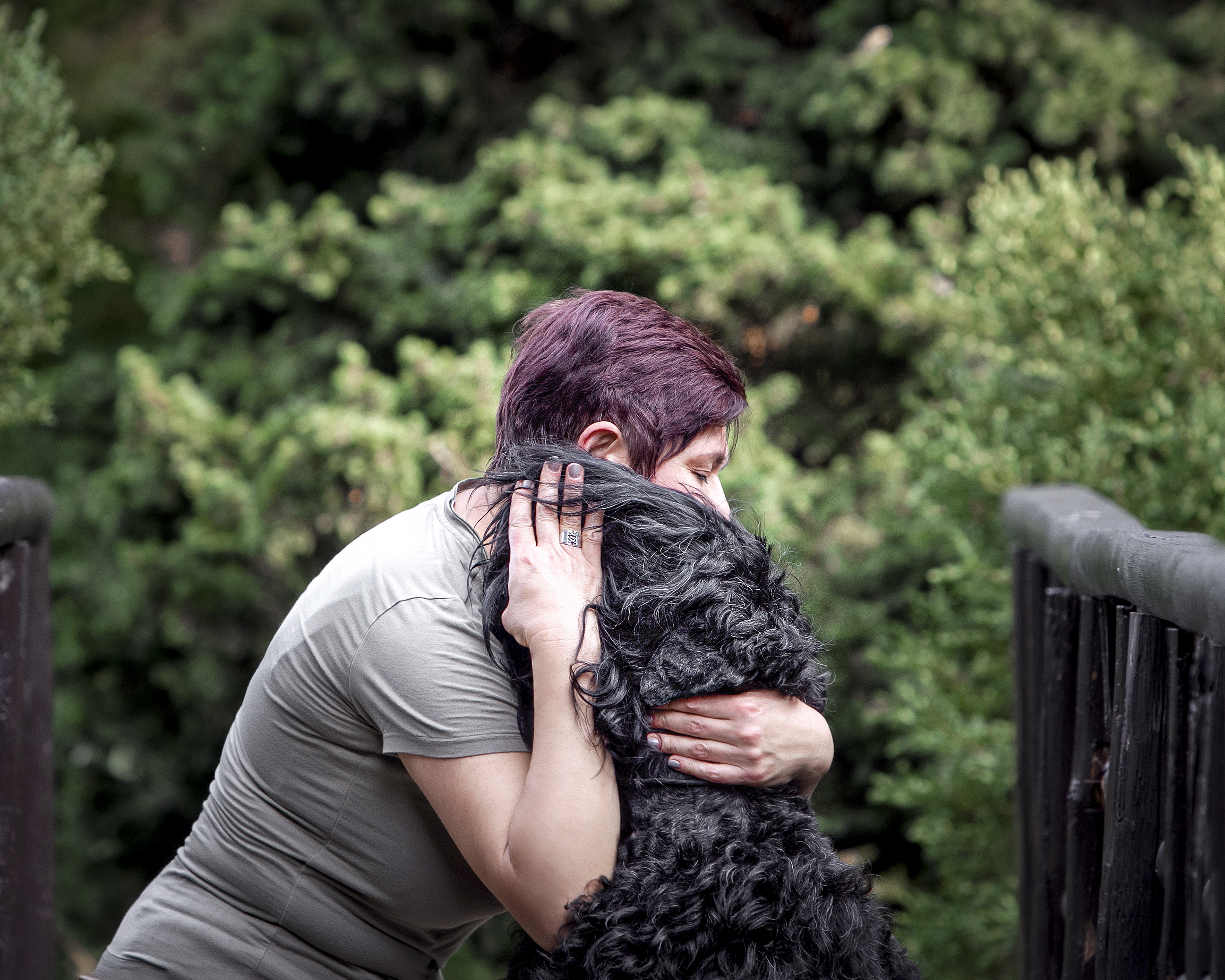 Slideshow sample 8